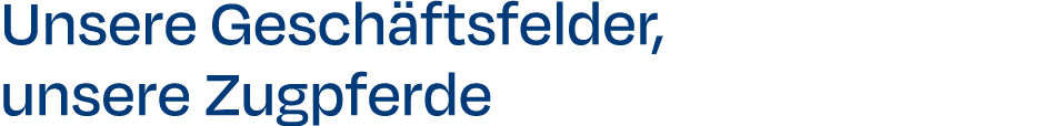 Unsere Gesch ftsfelder, unsere Zugpferde