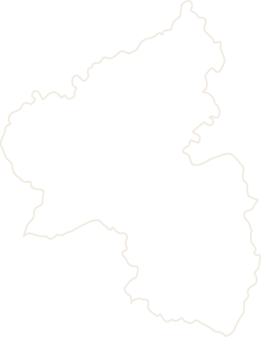 Polygon