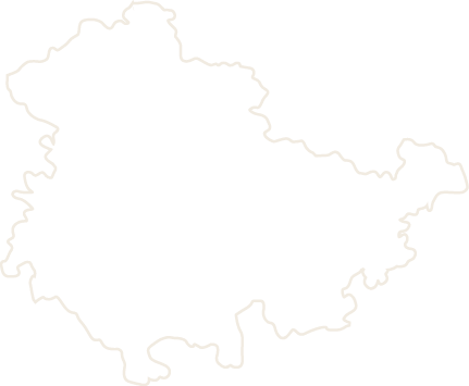 Polygon
