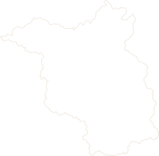 Polygon