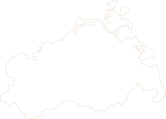 Polygon